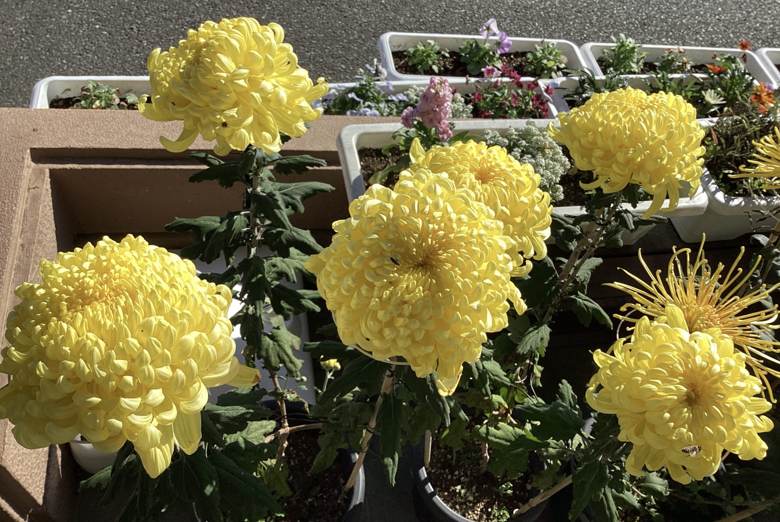 田尻交流センター